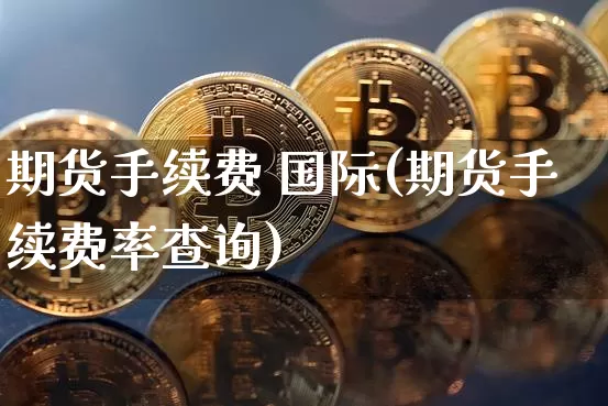 期货手续费 国际(期货手续费率查询)_https://www.hbxfywj.com_期货知识_第1张
