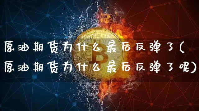 原油期货为什么最后反弹了(原油期货为什么最后反弹了呢)_https://www.hbxfywj.com_基金知识_第1张