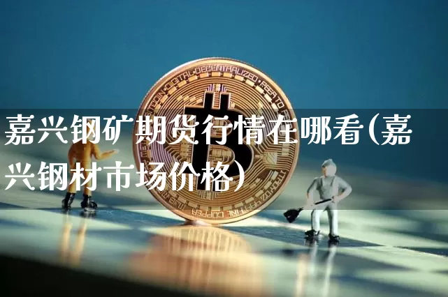 嘉兴钢矿期货行情在哪看(嘉兴钢材市场价格)_https://www.hbxfywj.com_期货知识_第1张
