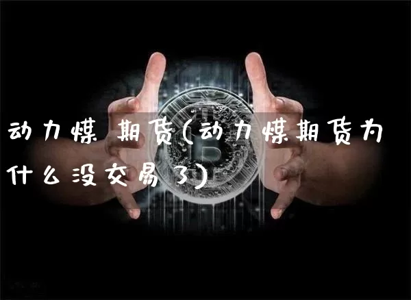 动力煤 期货(动力煤期货为什么没交易了)_https://www.hbxfywj.com_期货知识_第1张