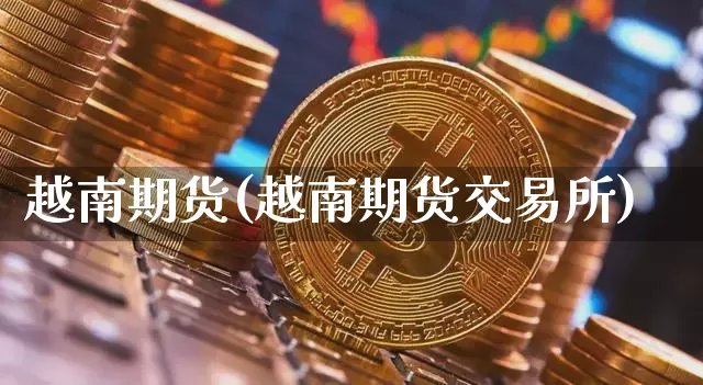 越南期货(越南期货交易所)_https://www.hbxfywj.com_期货知识_第1张