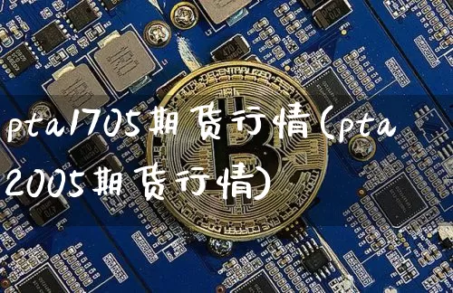 pta1705期货行情(pta2005期货行情)_https://www.hbxfywj.com_基金知识_第1张