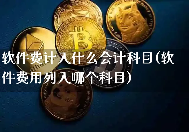软件费计入什么会计科目(软件费用列入哪个科目)_https://www.hbxfywj.com_期货知识_第1张