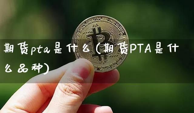 期货pta是什么(期货PTA是什么品种)_https://www.hbxfywj.com_期货知识_第1张