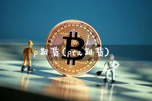 p期货(pta期货)_https://www.hbxfywj.com_证券知识_第1张