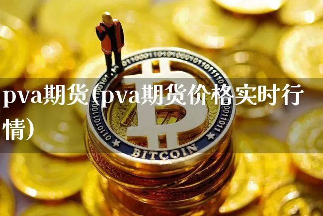pva期货(pva期货价格实时行情)_https://www.hbxfywj.com_基金知识_第1张