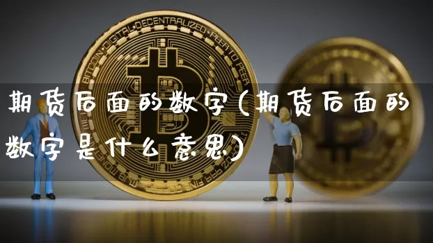 期货后面的数字(期货后面的数字是什么意思)_https://www.hbxfywj.com_证券知识_第1张