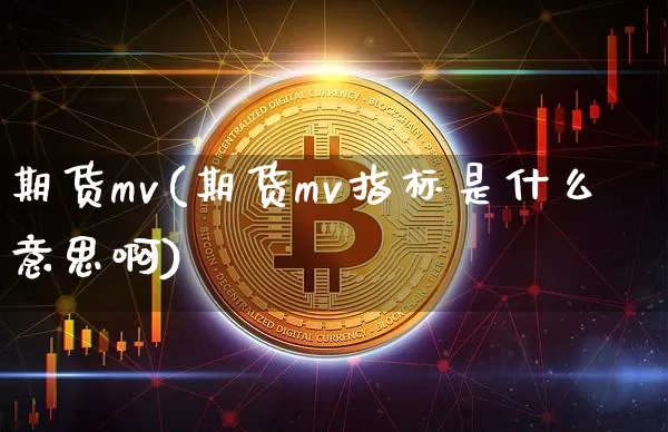 期货mv(期货mv指标是什么意思啊)_https://www.hbxfywj.com_期货知识_第1张