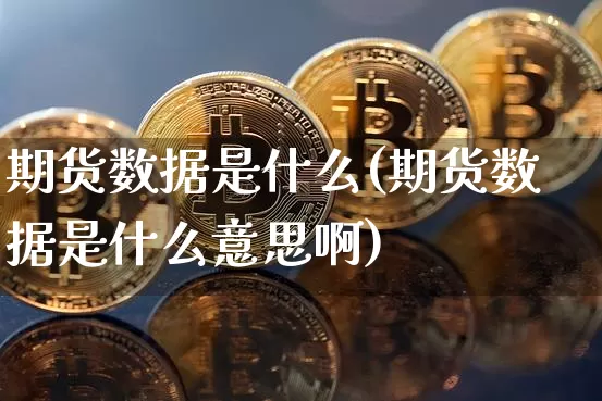 期货数据是什么(期货数据是什么意思啊)_https://www.hbxfywj.com_证券知识_第1张
