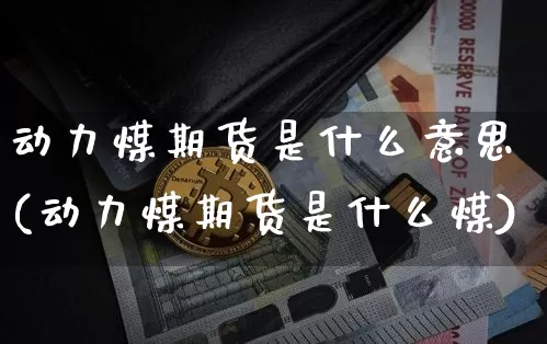 动力煤期货是什么意思(动力煤期货是什么煤)_https://www.hbxfywj.com_基金知识_第1张