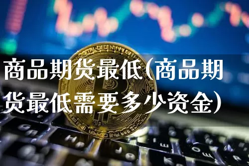 商品期货最低(商品期货最低需要多少资金)_https://www.hbxfywj.com_股票知识_第1张