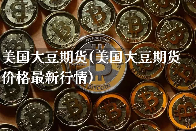 美国大豆期货(美国大豆期货价格最新行情)_https://www.hbxfywj.com_证券知识_第1张