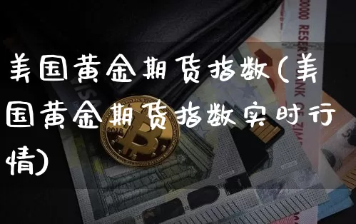 美国黄金期货指数(美国黄金期货指数实时行情)_https://www.hbxfywj.com_基金知识_第1张