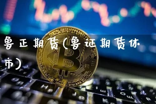 鲁正期货(鲁证期货休市)_https://www.hbxfywj.com_期货知识_第1张