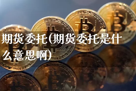 期货委托(期货委托是什么意思啊)_https://www.hbxfywj.com_股票知识_第1张