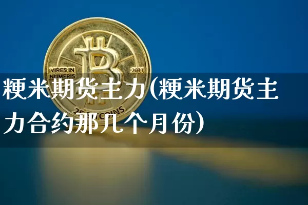 粳米期货主力(粳米期货主力合约那几个月份)_https://www.hbxfywj.com_基金知识_第1张