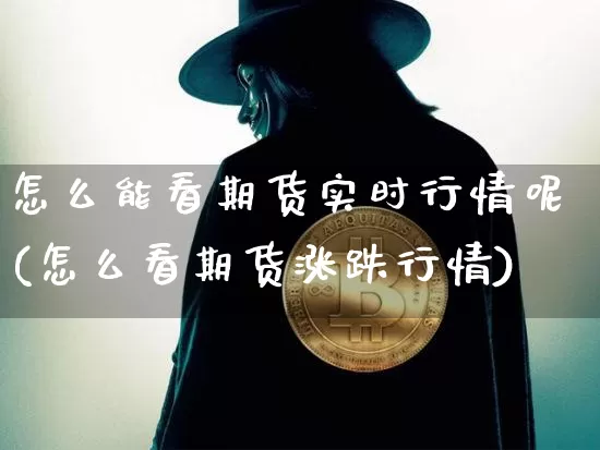 怎么能看期货实时行情呢(怎么看期货涨跌行情)_https://www.hbxfywj.com_期货知识_第1张