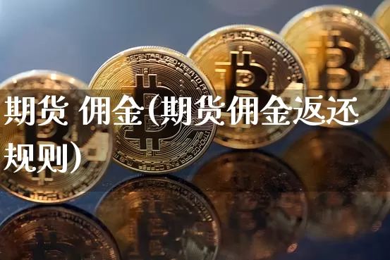 期货 佣金(期货佣金返还规则)_https://www.hbxfywj.com_基金知识_第1张