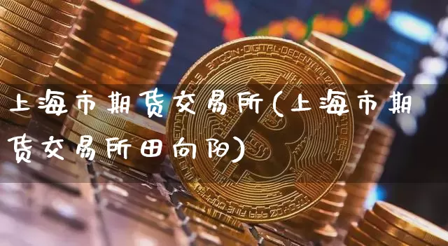 上海市期货交易所(上海市期货交易所田向阳)_https://www.hbxfywj.com_基金知识_第1张