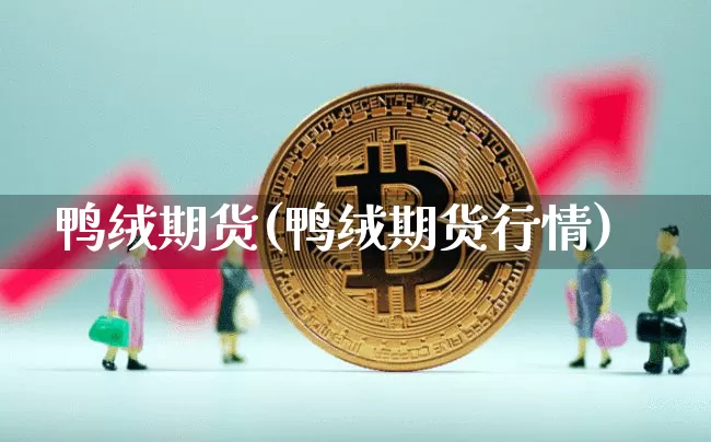 鸭绒期货(鸭绒期货行情)_https://www.hbxfywj.com_期货知识_第1张