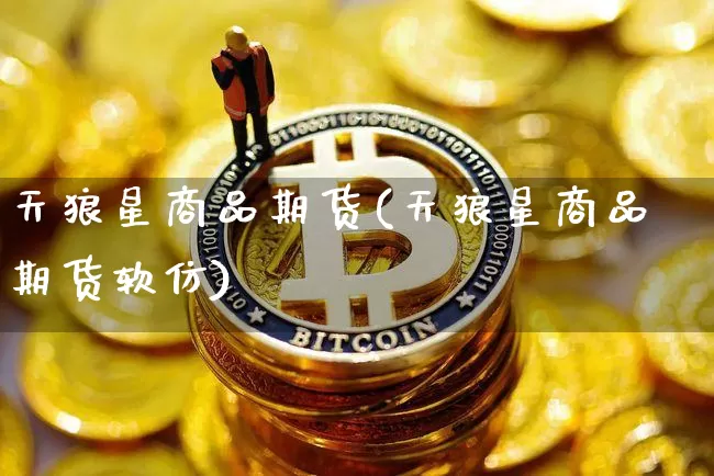 天狼星商品期货(天狼星商品期货软仿)_https://www.hbxfywj.com_基金知识_第1张