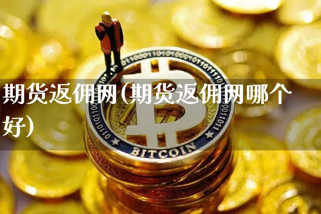 期货返佣网(期货返佣网哪个好)_https://www.hbxfywj.com_期货知识_第1张