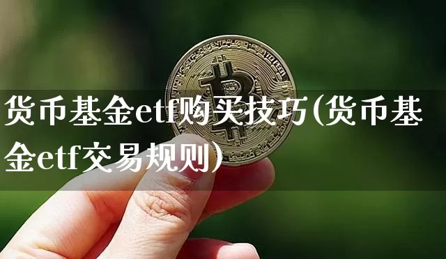 货币基金etf购买技巧(货币基金etf交易规则)_https://www.hbxfywj.com_股票知识_第1张
