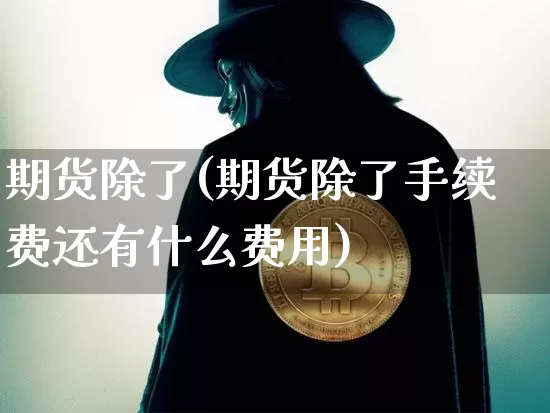 期货除了(期货除了手续费还有什么费用)_https://www.hbxfywj.com_证券知识_第1张