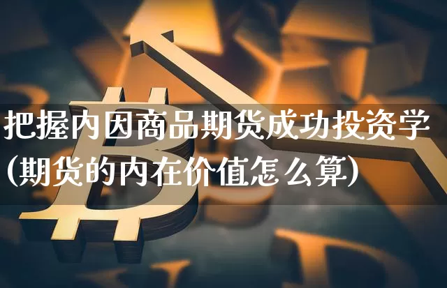 把握内因商品期货成功投资学(期货的内在价值怎么算)_https://www.hbxfywj.com_期货知识_第1张