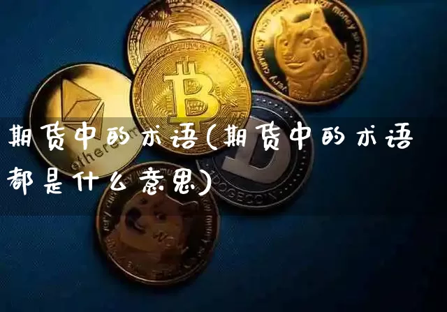 期货中的术语(期货中的术语都是什么意思)_https://www.hbxfywj.com_基金知识_第1张