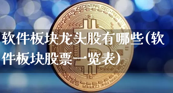 软件板块龙头股有哪些(软件板块股票一览表)_https://www.hbxfywj.com_证券知识_第1张