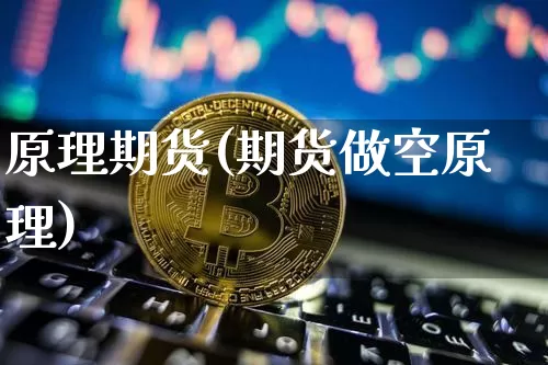 原理期货(期货做空原理)_https://www.hbxfywj.com_基金知识_第1张