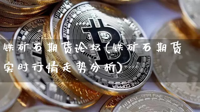 铁矿石期货论坛(铁矿石期货实时行情走势分析)_https://www.hbxfywj.com_基金知识_第1张