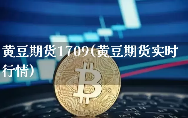 黄豆期货1709(黄豆期货实时行情)_https://www.hbxfywj.com_期货知识_第1张