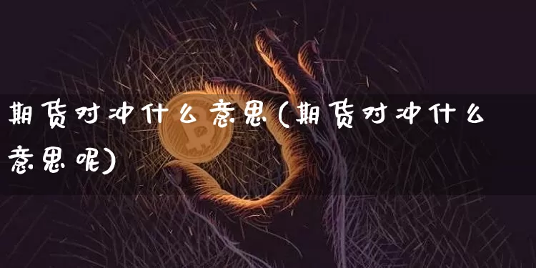期货对冲什么意思(期货对冲什么意思呢)_https://www.hbxfywj.com_证券知识_第1张