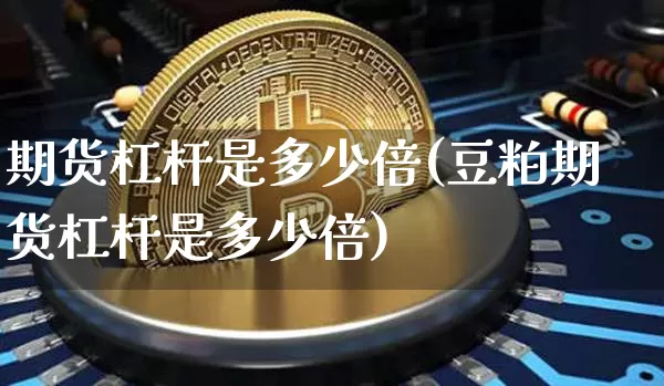 期货杠杆是多少倍(豆粕期货杠杆是多少倍)_https://www.hbxfywj.com_证券知识_第1张