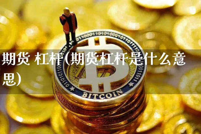 期货 杠杆(期货杠杆是什么意思)_https://www.hbxfywj.com_证券知识_第1张