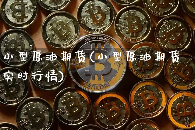 小型原油期货(小型原油期货实时行情)_https://www.hbxfywj.com_证券知识_第1张