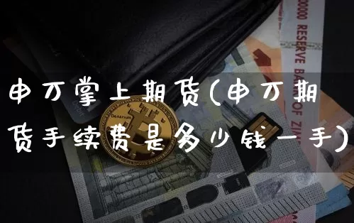申万掌上期货(申万期货手续费是多少钱一手)_https://www.hbxfywj.com_基金知识_第1张