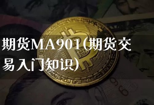 期货MA901(期货交易入门知识)_https://www.hbxfywj.com_期货知识_第1张